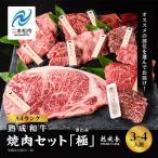 黒毛和牛 焼肉セット 極 きわみ 熟成和牛 牛肉