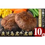 ふるさと納税 y436 鹿児島黒牛黒豚ハンバーグ(10個・計1.3kg) 国産 九州産 鹿児島県産 お肉 ぶた ブタ 豚肉 牛肉 ミンチ パック 小分け 冷凍 .. 鹿児島県湧水町