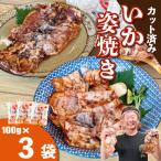 豊半のいか姿焼き 100g×3袋