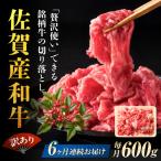 定期便6回 訳あり 切り落とし 600g