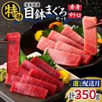 湊魚問屋 特特セット M005-042 冷凍