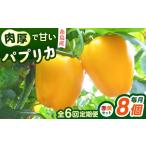 肉厚 パプリカ 8個