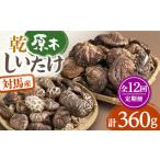 対馬産 原木 乾 しいたけ 360g