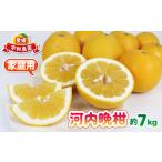 ふるさと納税 さわや�