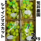 ショッピングシャインマスカット ふるさと納税 39J.荒井農園 種無しシャインマスカット2kg 鳥取県湯梨浜町