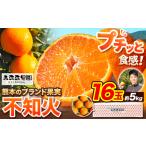 不知火 5kg