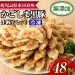 鹿児島黒豚 餃子 48個