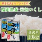 ふるさと納税 【ふるさと納税】福岡県産 元気つくし 無洗米 10kg(5kg×2) [a9197] 株式会社 藤食糧 【返礼品】添田町 ふるさと納税 福岡県添田町