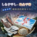 ふるさと納税 しらす干し&地魚干物おまかせ詰め合わせセット(AJ201) 茨城県北茨城市