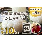 新潟産コシヒカリ 伝 白米真空パック 精米10kg