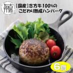 志方牛100%のこだわり熟成ハンバーグ150g×6個