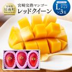 産完熟マンゴー レッドクイーン 2L×3玉