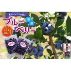 fu.... налог [ мужчина олень ..-..- сад ] рефрижератор голубика 500g×2 упаковка ( всего 1kg) Akita префектура мужчина олень город Akita префектура мужчина олень город 