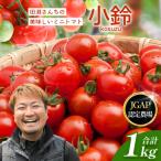 田淵さんちの美味しい ミニトマト 小鈴 約1kg