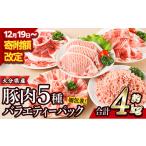ふるさと納税 豚肉 バラエティーパック (合計4kg・5種)豚バラ しゃぶしゃぶ 鍋 とんかつ ロース 小分け 個包装 豚こま 小間切れ スライス ミンチ.. 大分県佐伯市