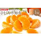 A201 ひとくち不知火 1kg×1袋