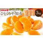 A203 ひとくち不知火 1kg×3袋