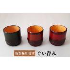 新潟特産竹塗 ぐい呑み 伝統技術 酒器 楊枝立