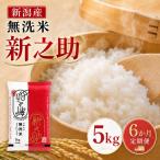 米 6ヶ月定期便 新潟 新之助 5kg