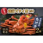 ふるさと納税 【先行予約】訳あり≪茹で≫越前ズワイ蟹(小) 2杯【2025年11月発送分】【カニ かに わけあり 海鮮 蟹 越前ガニ ずわいがに ズワイ.. 福井県坂井市