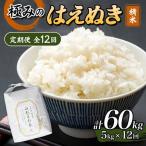 全12回定期便 極みのはえぬき 精米 5kg