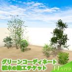 植木の施工チケット 11万円分 植物