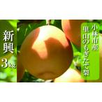 ふるさと納税 【産直もぎたて】里山のもぎたて新興梨 3kg（国産 フルーツ 果物 くだもの 梨 ナシ 新興 旬 限定） 宮崎県小林市