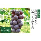 BKシードレス 2kg程度