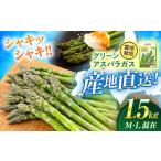 fu.... налог [2026 год 5 месяц сверху . после последовательный отправка ] зеленый спаржа 1.5kg ( M*L../. земля культивирование )aspala овощи набор Hokkaido [AJAM00.. Hokkaido .. другой блок 