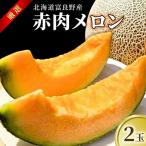 メロン 富良野産 赤肉 吉中農園