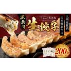 訳あり ちょっと大きめ 生餃子 ラー麦使用 200個