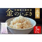 ふるさと納税 玄米 金のいぶき 自宅用 合計3,750g (750g×5袋) 小分け お米 おこめ 米 コメ 玄米 ご飯 ごはん おにぎり お弁当【赤間農業開.. 宮城県大和町