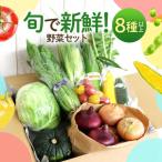 鯖街道からお届け 季節の新鮮 野菜セット 8種以上