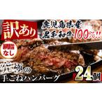 i839-02 黒毛和牛の究極の手ごねハンバーグ