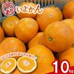 訳あり 伊予柑 10キロ