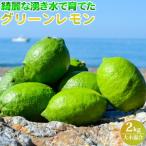綺麗な湧き水で育てた グリーンレモン 2kg