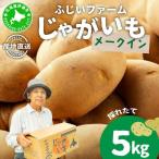 fu.... налог < предшествующий предварительный заказ > Hokkaido производство картофель (me-k in ) примерно 5kg[55250841] Hokkaido date город 
