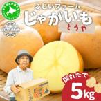 fu.... налог < предшествующий предварительный заказ > Hokkaido производство картофель (...) примерно 5kg[55250843] Hokkaido date город 