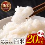 ひのひかり 米 お米 白米 20kg