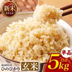 ひのひかり 米 お米 白米 5kg