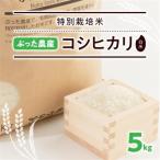 特別栽培米ぶった農産コシヒカリ 白米5kg