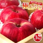 八ヶ岳南麓自然の恵み 極上ふじ3kg りんご