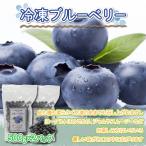 冷凍ブルーベリー500g×2パック ブルーベリー