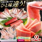 対馬産 本マグロ 中トロ 300g