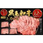 A4~A5 九州産黒毛和牛上カルビ1.2kg 400g×3パック