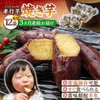 孝行芋 焼き芋 12袋