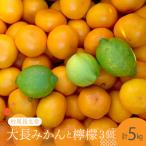 広島 大長みかんと大長檸檬3個セット 5kg