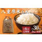 令和8年新米予約 八重原米5kg 5kg×1袋