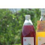 種あり巨峰 種なし巨峰 りんごのジュース