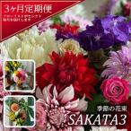 SL0216 酒田の花束 季節の花束 SAKATA3